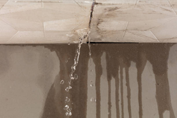 Professional Water Damage Restoration technician working in Bloomfield, NY